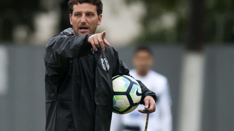 Guarani: após Marcelo Fernandes e executivo, Bugre fecha com Elano e preparador ex-Santos