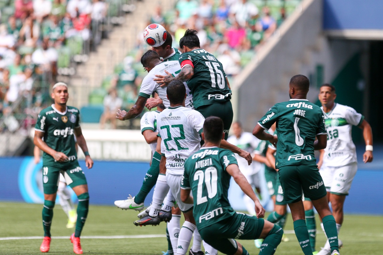 Palmeiras confirma favoritismo e vence Guarani no Allianz Parque