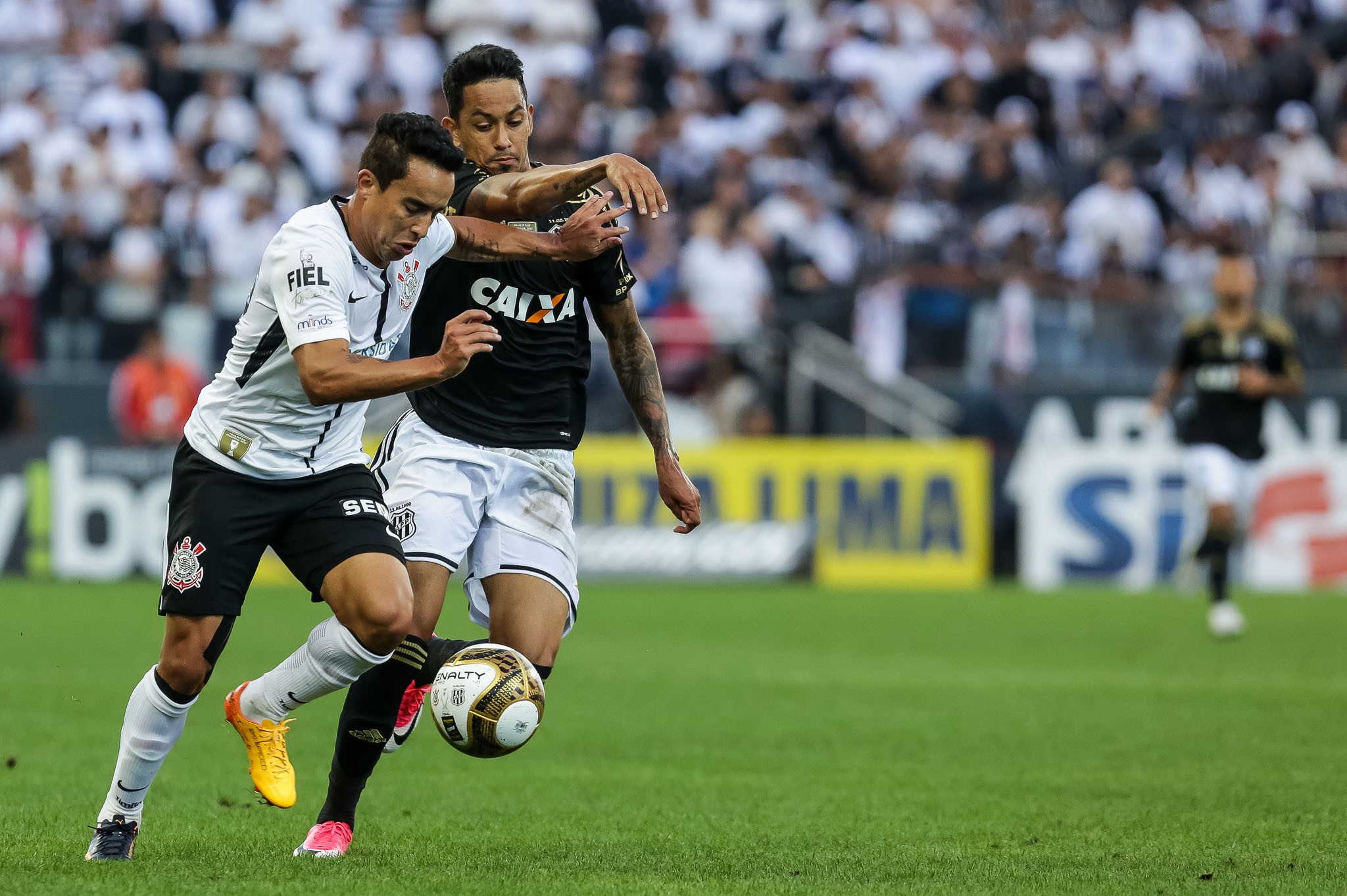 Na zona de rebaixamento, Ponte Preta desafia tabu de nunca ter vencido na casa do Corinthians