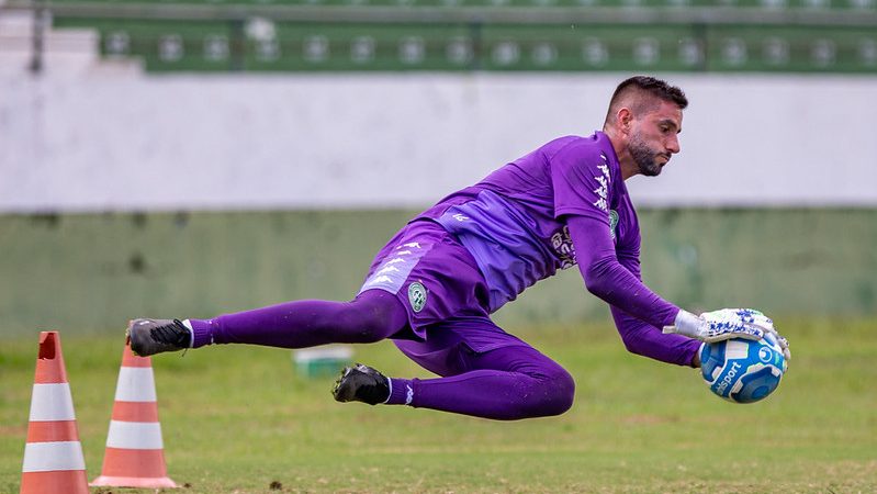 Guarani: Pegorari e Diego Porfírio são apresentados e prometem acirrar disputa por titularidade