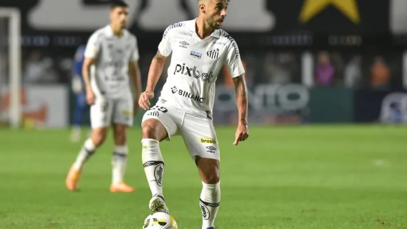 Guarani: volante ex-Santos e Corinthians é o sétimo reforço do Bugre