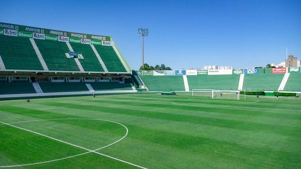 Guarani: Abel Ferreira rasga elogios ao gramado do Brinco de Ouro: ‘É top’