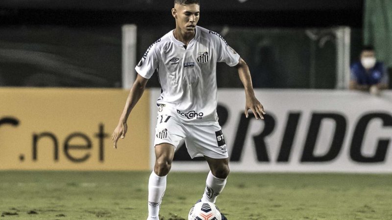 Ponte Preta: diretoria sonda meia do Santos, mas recebe negativa