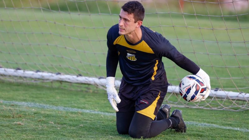 Guarani: Vila Nova vence disputa por goleiro do Novorizontino; Bugre segue no mercado