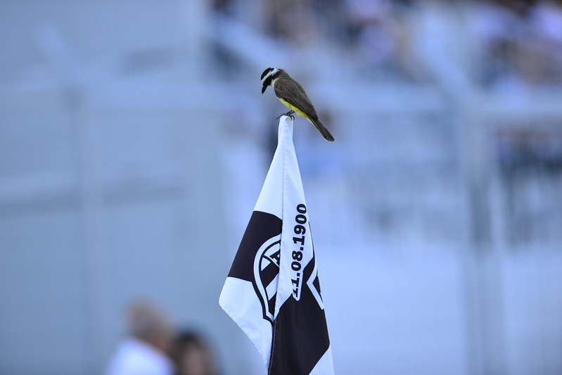Ponte Preta: Justiça condena clube a pagar dívida com padaria de Campinas